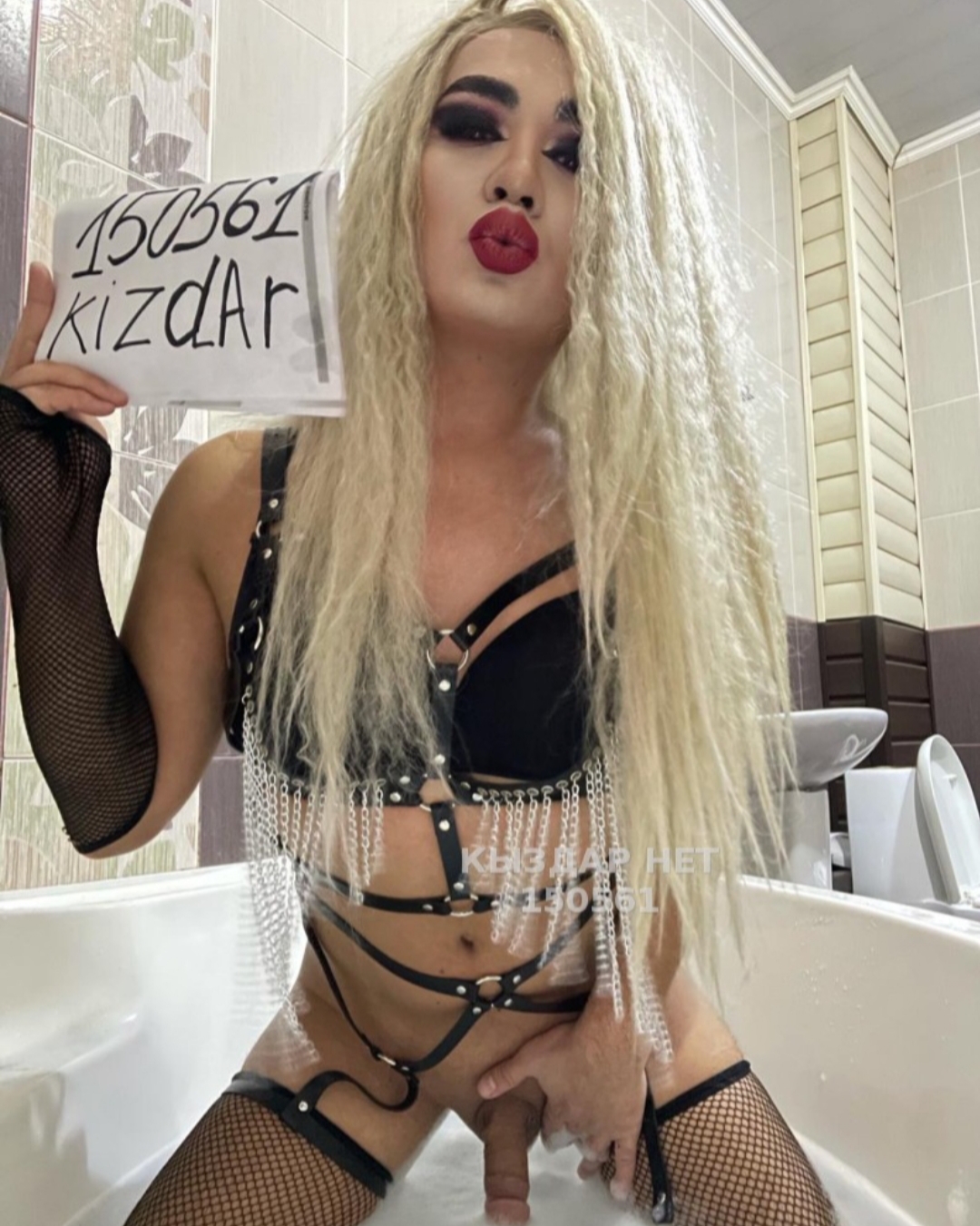Bounty trans Шымкент, 24 catalog.years_old — Выезд из Шымкент