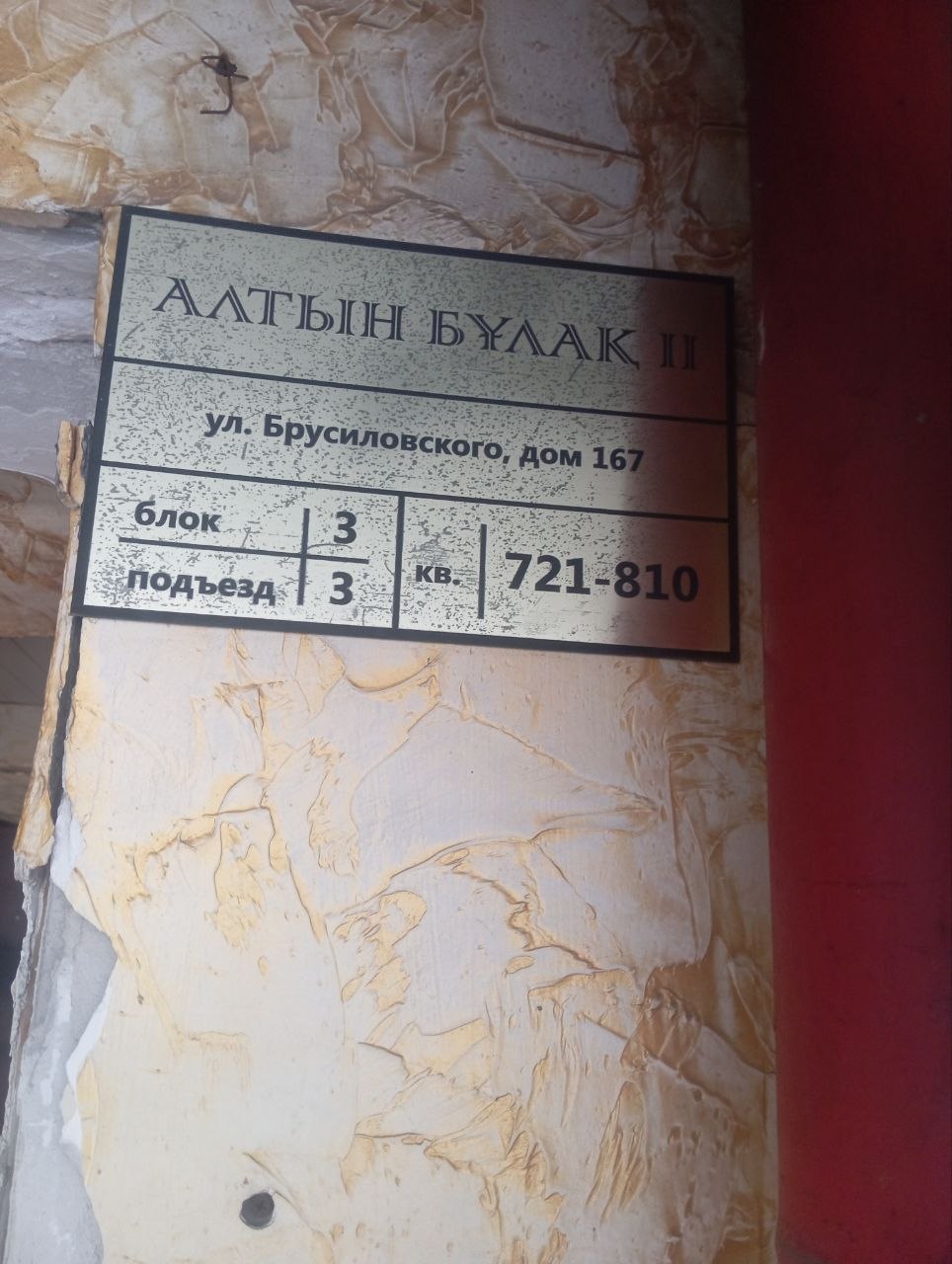 Dilya — photo